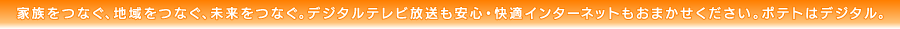 ƑȂAnȂAȂBfW^erSEKC^[lbg܂B|eg̓fW^B
